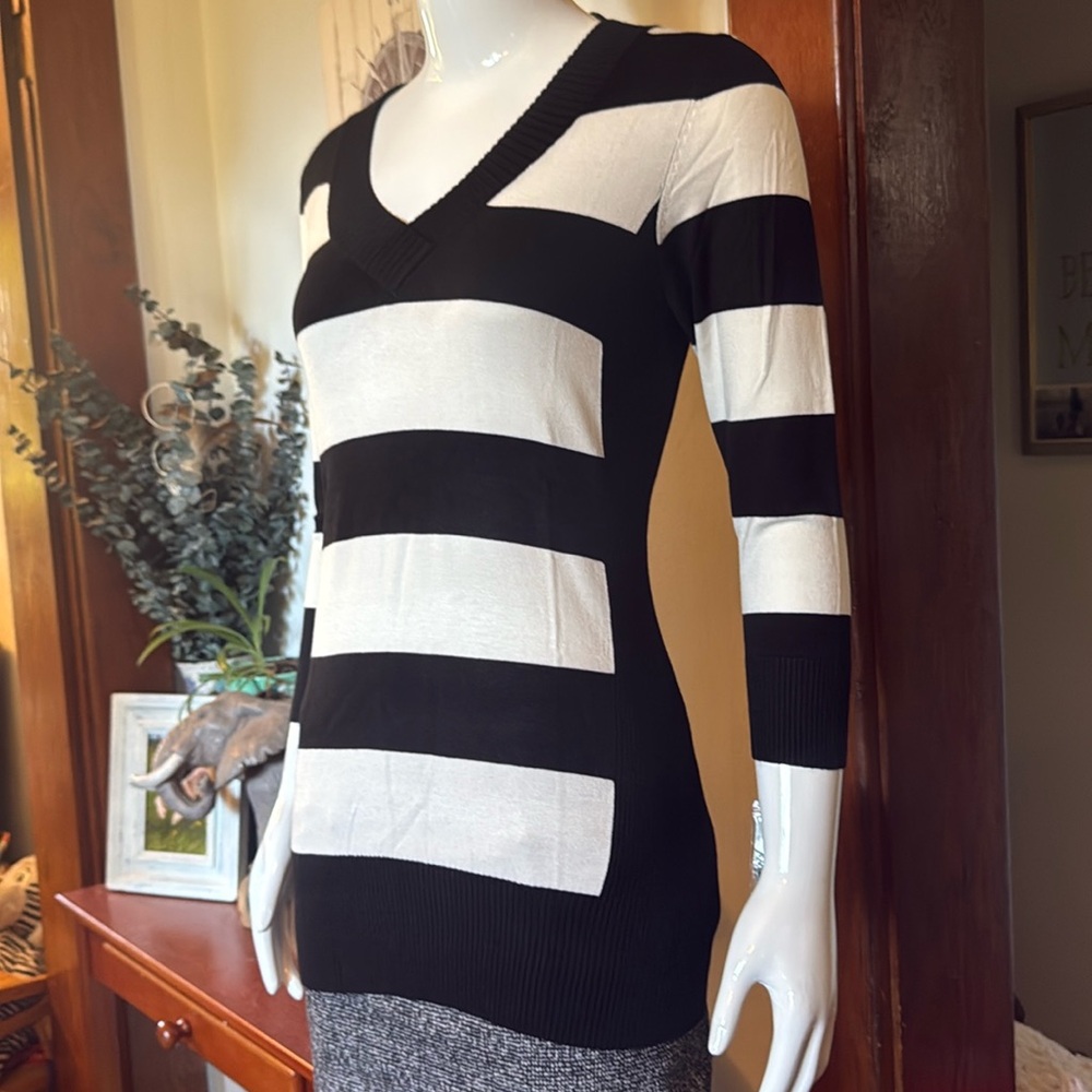 NWT Style&Co size small Black and White Striped V-Neck Sweater